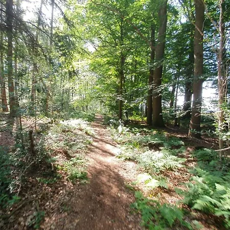 Restaurant Roerdinkhof Bed & Breakfast