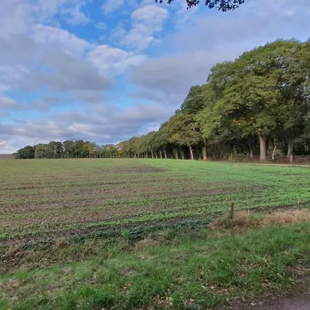 לינה וארוחת בוקר Restaurant Roerdinkhof ווינטרסווייק