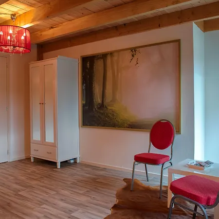 Restaurant Roerdinkhof 3* ווינטרסווייק