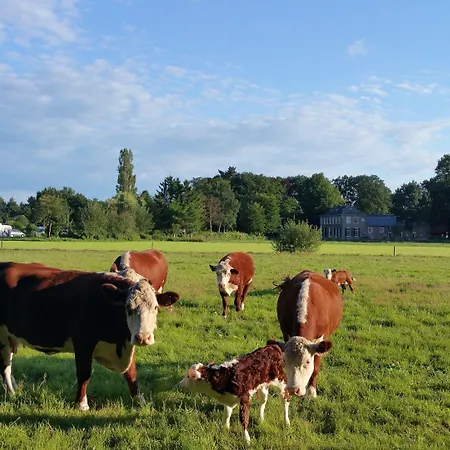 Restaurant Roerdinkhof 3*