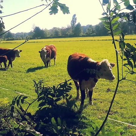 Restaurant Roerdinkhof Bed & Breakfast Winterswijk