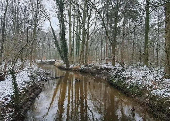 Restaurant Roerdinkhof Oda ve Kahvaltı