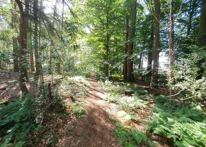 Restaurant Roerdinkhof Bed & Breakfast