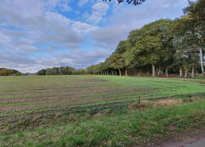 Bed & Breakfast Restaurant Roerdinkhof Winterswijk