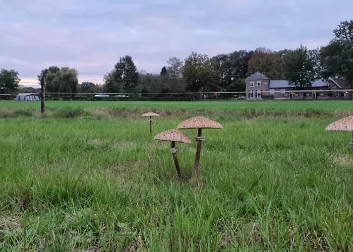 Restaurant Roerdinkhof Oda ve Kahvaltı