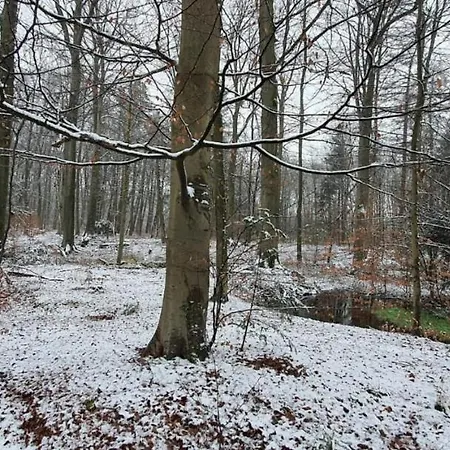 Restaurant Roerdinkhof 住宿加早餐酒店 3*