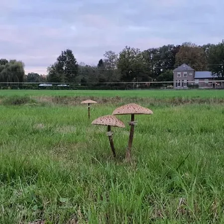 Restaurant Roerdinkhof 住宿加早餐酒店