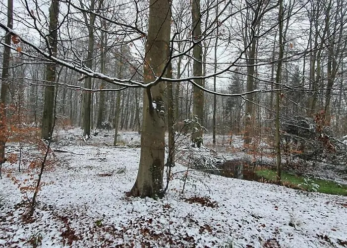 Restaurant Roerdinkhof Bed & Breakfast 3*