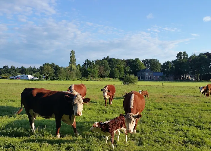 Restaurant Roerdinkhof 3*