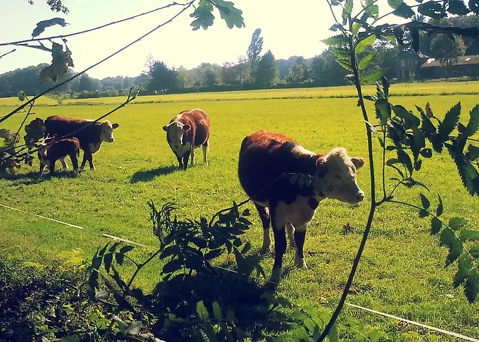 Restaurant Roerdinkhof Bed & Breakfast Winterswijk